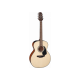Takamine GLN12ENS electro