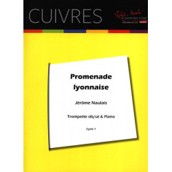 Jérôme Naulais Promenade Lyonnaise