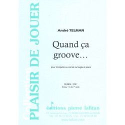 André Telman Quand ça groove...