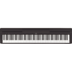 YAMAHA P45