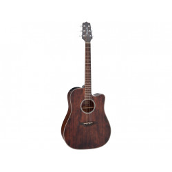 TAKAMINE GD21CE-SM
