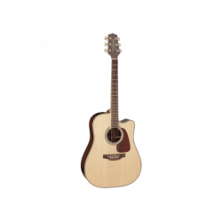 Takamine GD71CE-NAT natural