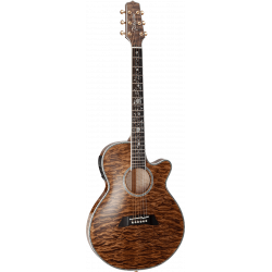 TAKAMINE TSP100 VINTAGE TOBACCO