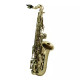 Roy Benson AS-201 - Pour Enfant (verni) Saxophone Roy Benson