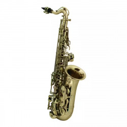 Roy Benson AS-201 - Pour Enfant (verni) Saxophone Roy Benson