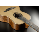 LAG HyVibe 30 Smart Guitar Michel Haumont Parlor Signature