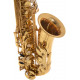 Roy Benson Alto Etude - Verni (AS-202)