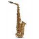 Roy Benson Alto Etude - Verni (AS-202)