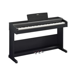 YAMAHA ARIUS YDP105