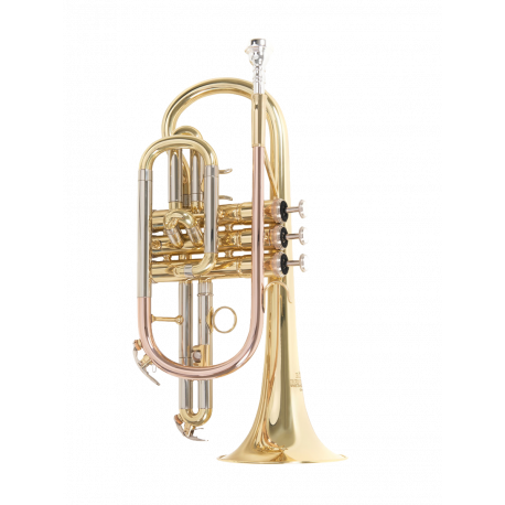Roy Benson Cornet Sib D'etude Roy Benson CR-202