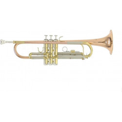 ROY BENSON TR-202G TROMPETTE