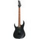 IBANEZ RG421BLACK GAUCHER