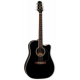 TAKAMINE EF341DX