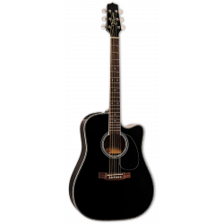 TAKAMINE EF341DX