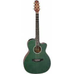 TAKAMINE LTD2025 Cutaway Glossy Antique Evergreen