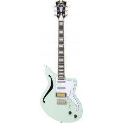 D'ANGELICO EXCEL GT BEDFORD SH