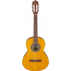 IBANEZ G02 OAM OPEN PORE AMBER 3/4