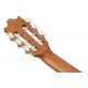 IBANEZ G02 OAM OPEN PORE AMBER 3/4