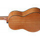 IBANEZ G02 OAM OPEN PORE AMBER 3/4