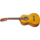 IBANEZ G02 OAM OPEN PORE AMBER 3/4