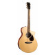 MARTIN SC13E MOD