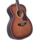 D'ANGELICO PREMIER TAMMANY CARAMEL BURST