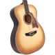 D'ANGELICO EXCEL TAMMANY SEPIA BURST