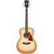 D'ANGELICO EXCEL TAMMANY SEPIA BURST