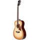 D'ANGELICO EXCEL TAMMANY SEPIA BURST