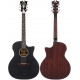 D'ANGELICO PREMIER GRAMERCY LS BLACK MATTE
