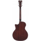D'ANGELICO PREMIER GRAMERCY LS BLACK MATTE