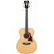 D'ANGELICO PREMIER TAMMANY NAT