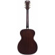 D'ANGELICO PREMIER TAMMANY NAT