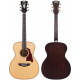 D'ANGELICO PREMIER TAMMANY NAT