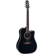 TAKAMINE EF341SC