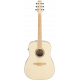 IBANEZ AAD77M1EOAW