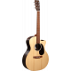MARTIN GPCX2E COCOBOLO