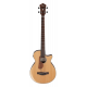 IBANEZ AEGB30E NTG