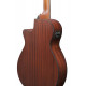 IBANEZ AEGB30E NTG