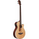 IBANEZ AEGB30E NTG
