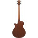 IBANEZ AEGB30E NTG