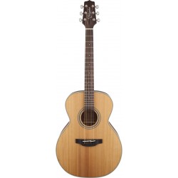 TAKAMINE GN20 NS